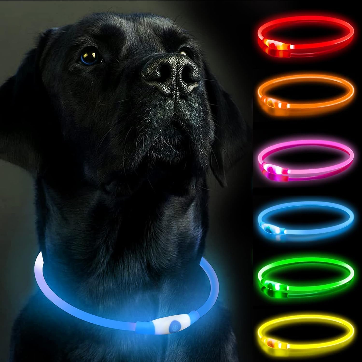 Bright dog collars best sale