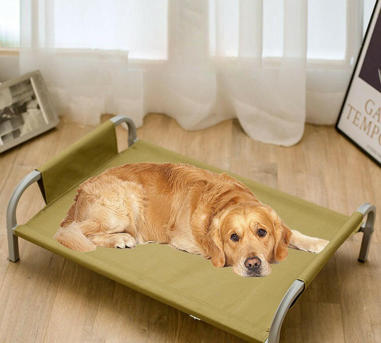 Elevated Outdoor Pet Bed with Breathable Fabric.