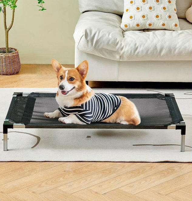 Outdoor Puppy Bed - Elevated Breathable and Sturdy.