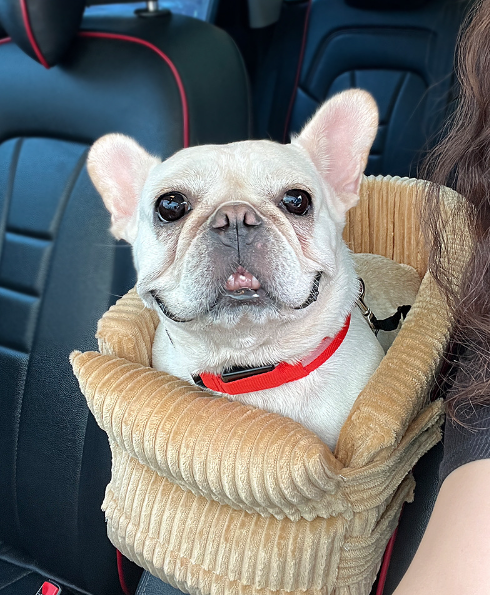 Plush Corduroy Dog Car Seat.
