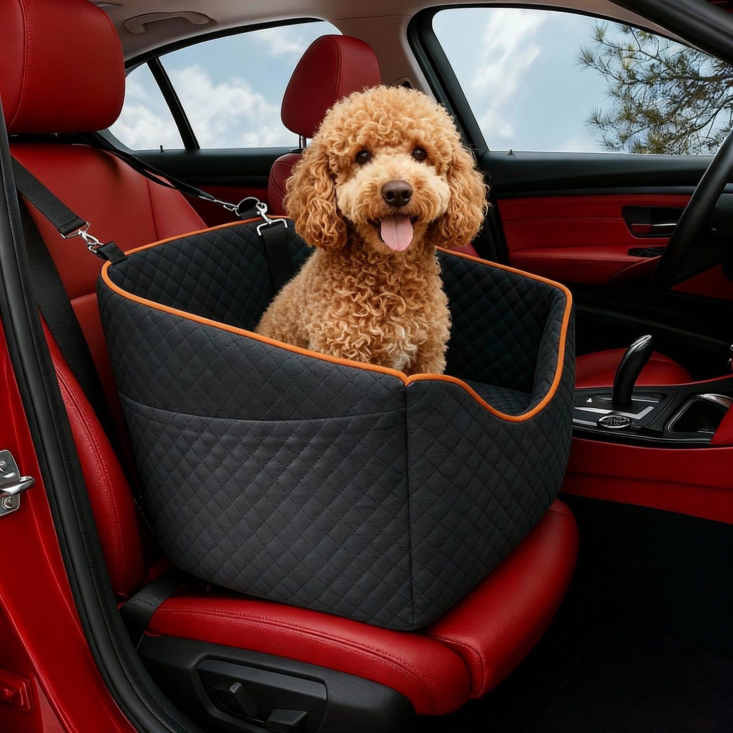 Elevated Dog Booster Seat for Car Travel