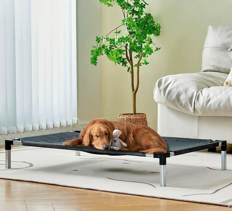 Outdoor Puppy Bed - Elevated Breathable and Sturdy.