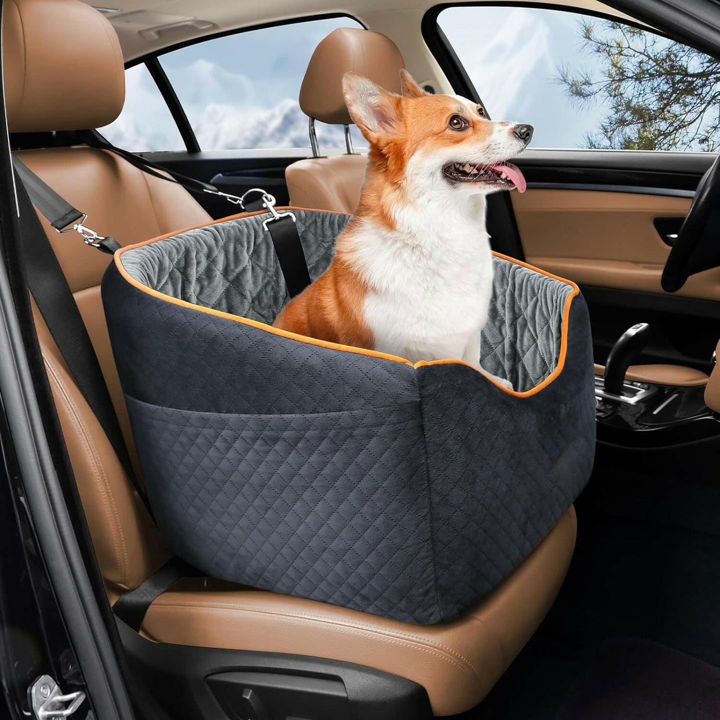 Elevated Dog Booster Seat for Car Travel.