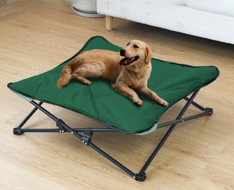 Foldable Elevated Outdoor Puppy Bed for Dogs and Cats.