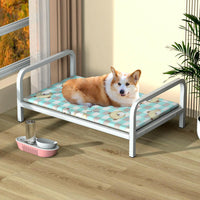 Sturdy Elevated Metal Frame Dog Bed with Breathable Design.