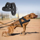 Heavy Duty Dog Pulling Harness – Ideal for Strength Training and Muscle Building