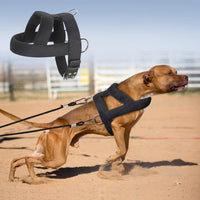 Heavy Duty Dog Pulling Harness – Ideal for Strength Training and Muscle Building