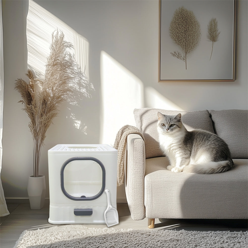 Modern Top-Entry Enclosed Cat Litter Box with Pull-Out Tray.