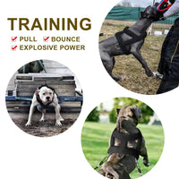 Heavy Duty Dog Pulling Harness – Ideal for Strength Training and Muscle Building