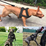 Heavy Duty Dog Pulling Harness – Ideal for Strength Training and Muscle Building