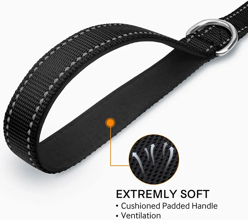Dog Leash Reward Gift - Free.