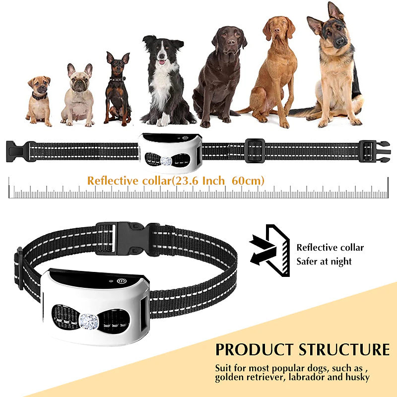 2-in-1 Wireless Dog Fence & Outdoor Training Collar