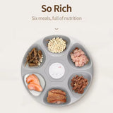 Automatic Pet Feeder with Cooling Ice Packs – 6 Meal Capacity