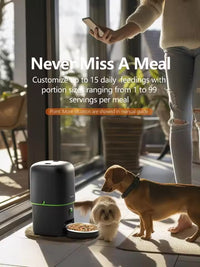 Automatic 4L Dog Cat Feeder with WiFi and Camera
