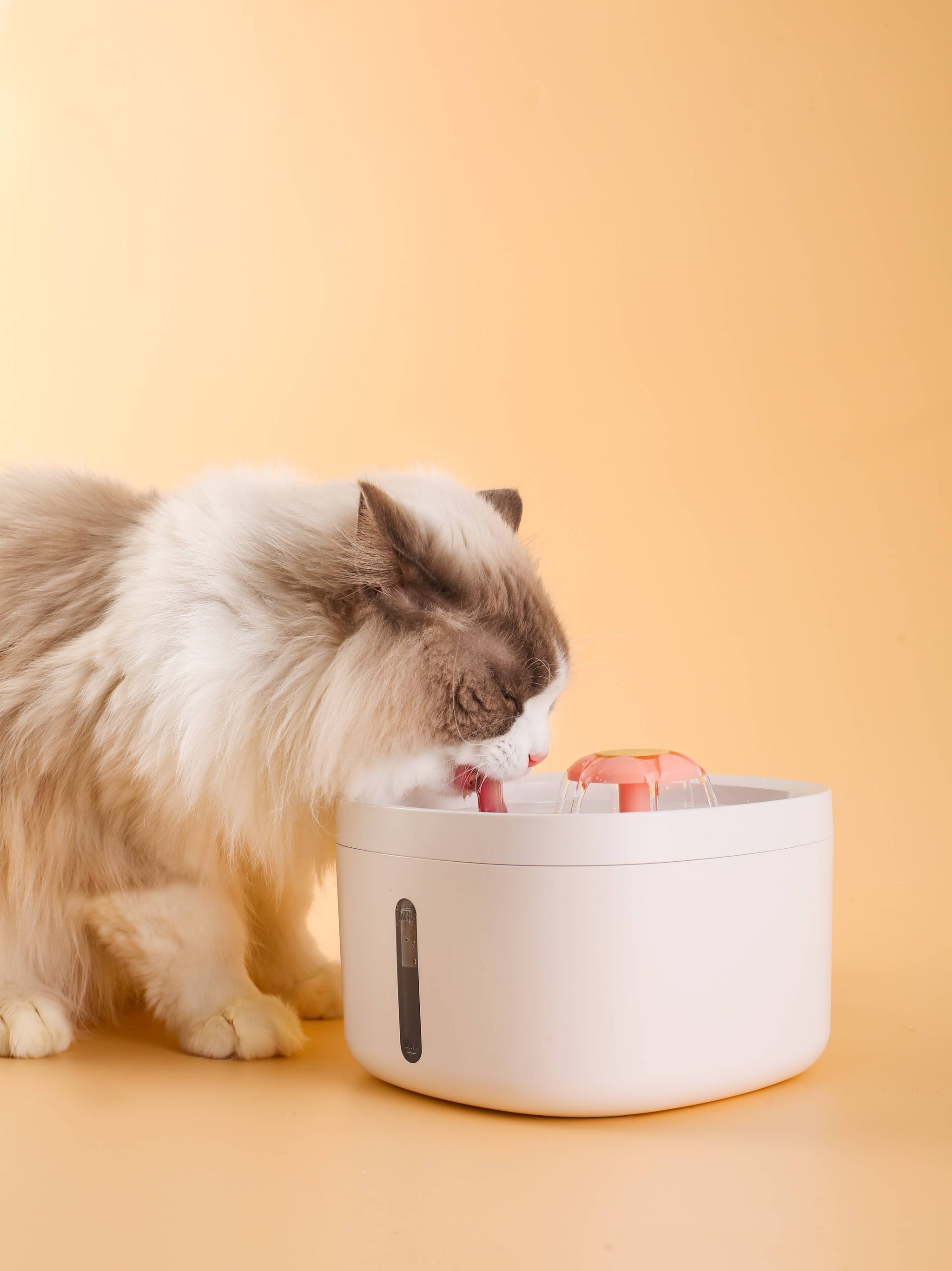 Pet Water Fountain with LED Indicator and Flower Design