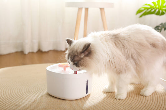 Pet Water Fountain with LED Indicator and Flower Design