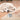 Dog Scent Training Kit with Magnetic Bases- Set of 10