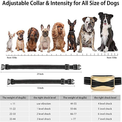 Advanced Remote Control Dog Training Collar - Waterproof &amp; Rechargeable