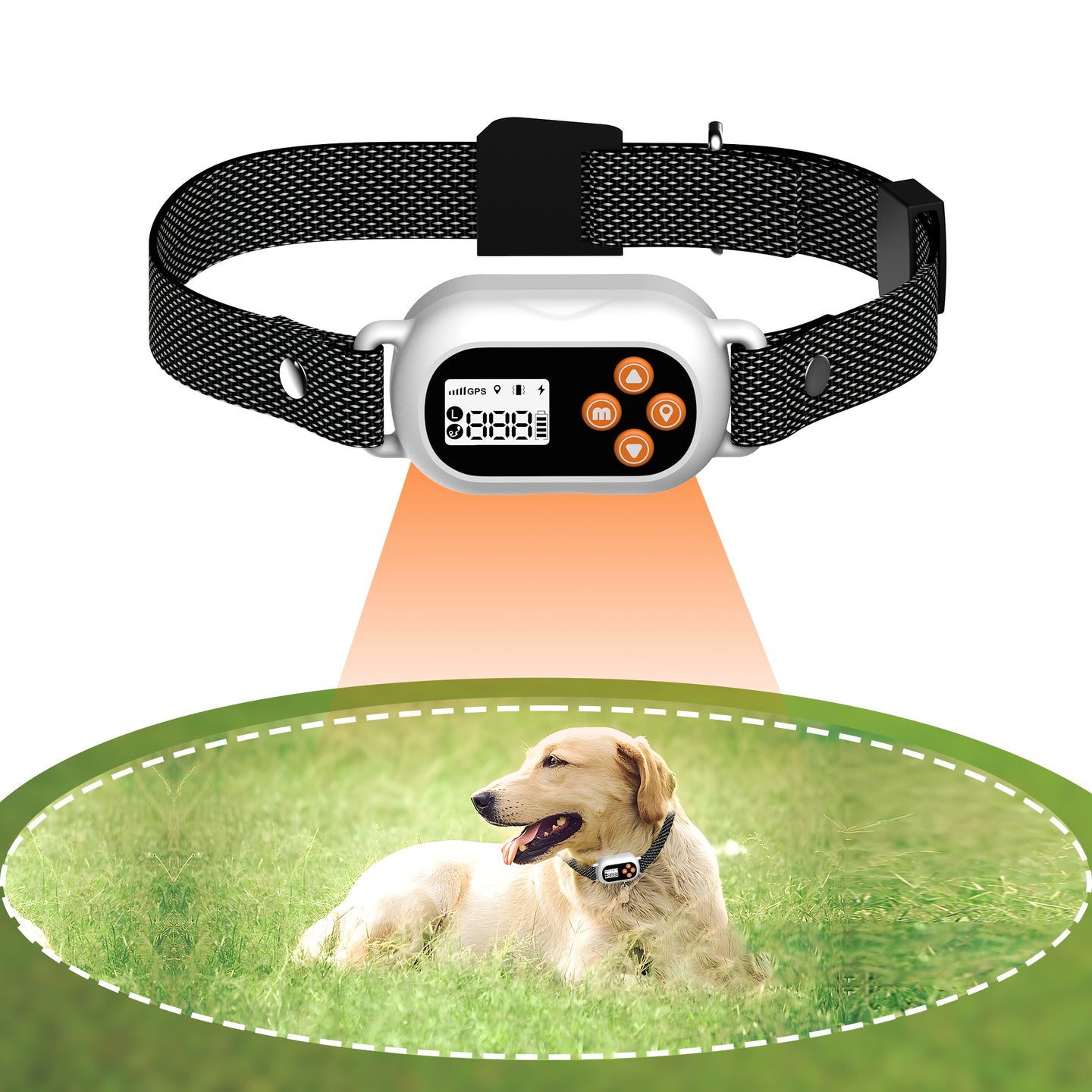 Pawfey SmartPro F820 GPS Wireless Dog Fence Collar