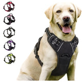 Heavy Duty No-Pull Dog Harness