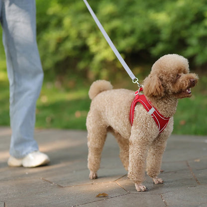 Soft Mesh Dog Harness with Free Leash