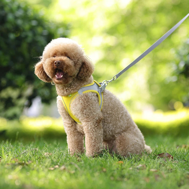 Soft Mesh Dog Harness with Free Leash