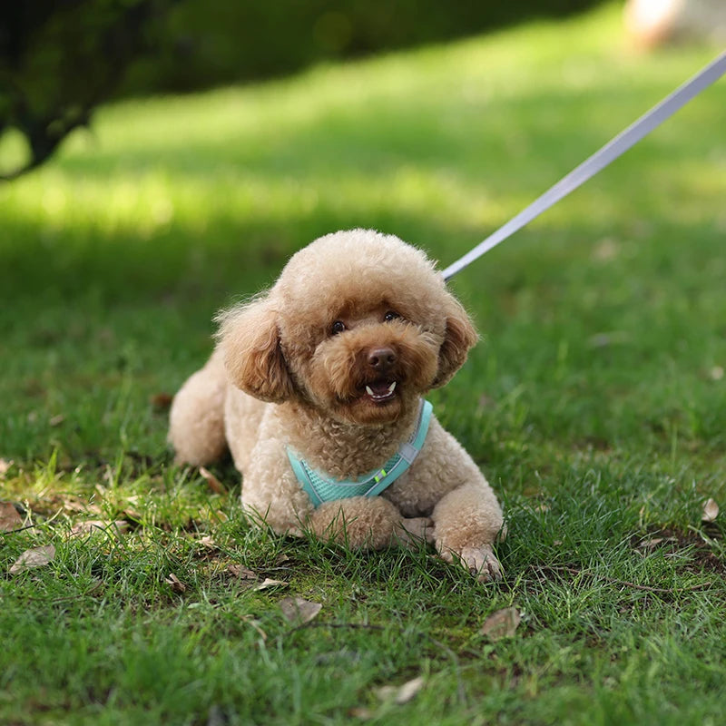 Soft Mesh Dog Harness with Free Leash