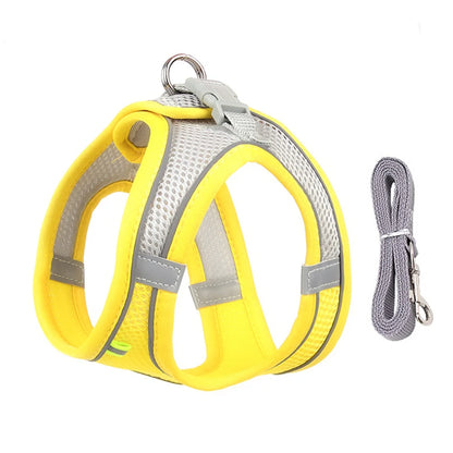 Soft Mesh Dog Harness with Free Leash