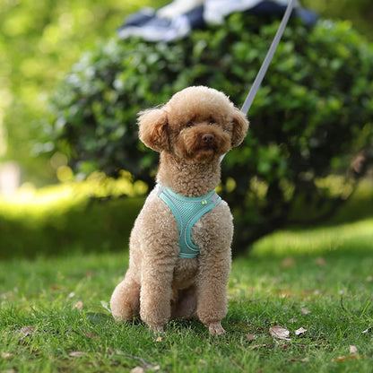 Soft Mesh Dog Harness with Free Leash