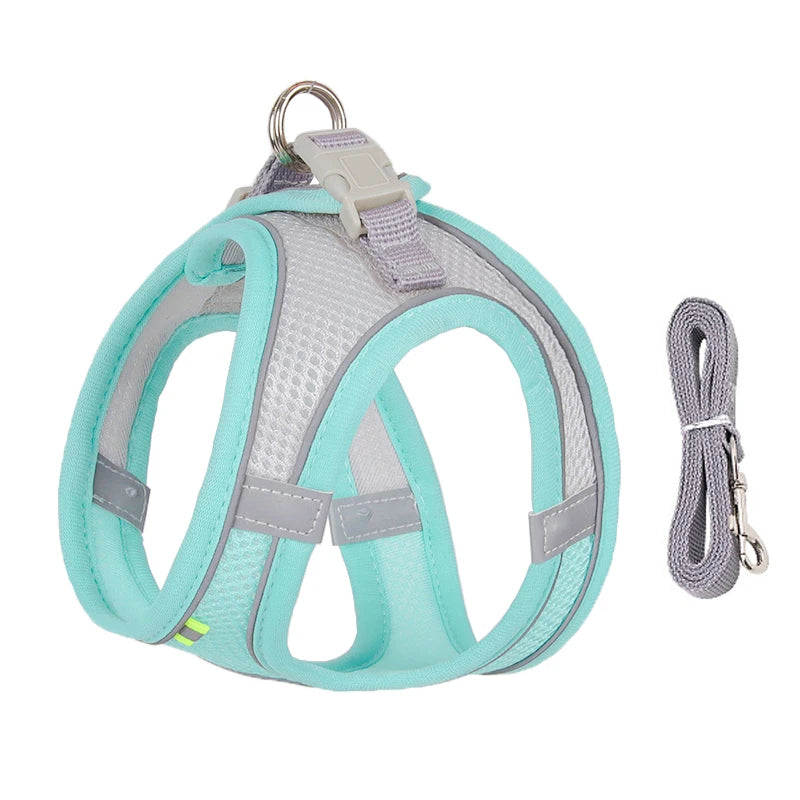 Soft Mesh Dog Harness with Free Leash