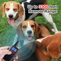 Pawfey No Shock Dog Training Collar – Humane Vibration & Sound with Remote