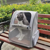 Pawfey Expandable Pet Backpack Carrier for Cats and Small Dogs