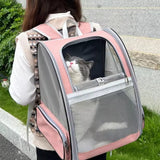 Pawfey Expandable Pet Backpack Carrier for Cats and Small Dogs
