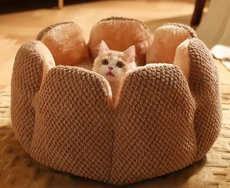Plush Flower-Shaped Cat Bed with Raised Petal Sides