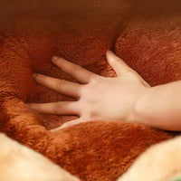 Plush Flower-Shaped Cat Bed with Raised Petal Sides