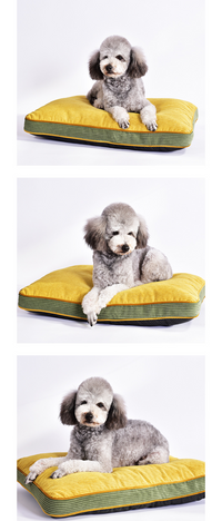 Luxury Corduroy Pet Bed – Soft Supportive and Stylish