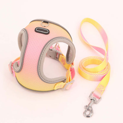 Reflective Mesh Dog Harness with Leash Set