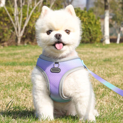 Reflective Mesh Dog Harness with Leash Set