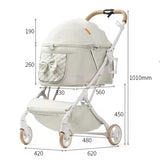 Luxury Foldable Pet Stroller with Spacious Carrier