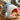 Shark Shaped Cat Bed with Soft Cushion