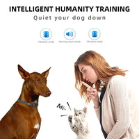 No-Shock Anti-Bark Dog Training Collar – Safe & Humane Behaviour Control