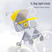 Foldable Cat Pram with Breathable Mesh Canopy