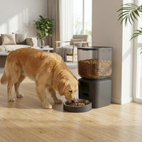 Pawfey 8L Automatic Cat and Dog Feeder with 1080P Camera and WiFi