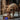 K9King Nosework Dog Scent Training Kit – Complete Scent Enrichment Set