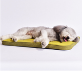 Pawfey Premium Dog Bed – Durable and Washable Cushion