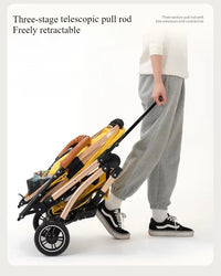 Luxury 2-in-1 Pet Stroller and Carrier