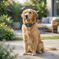 No-Shock Anti-Bark Dog Training Collar – Safe & Humane Behaviour Control