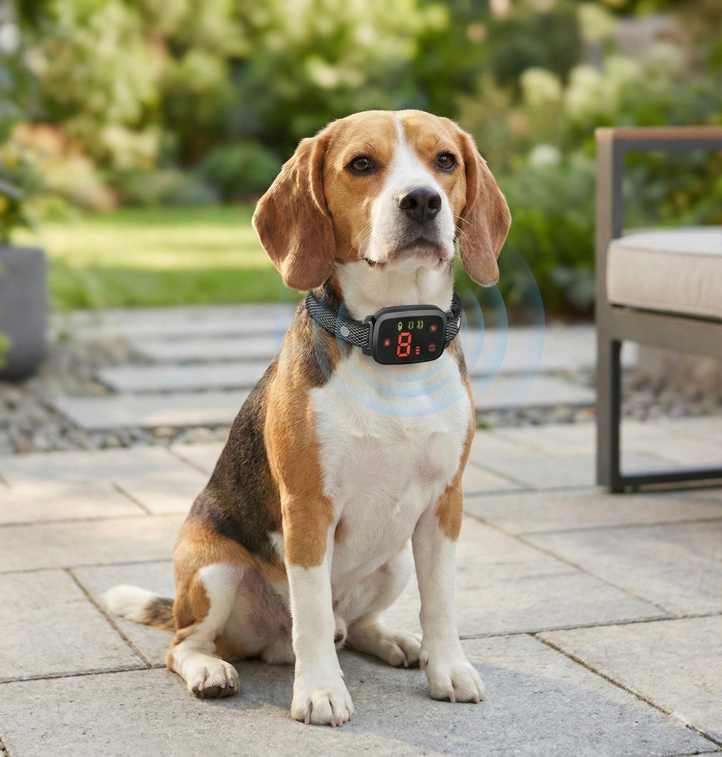 No-Shock Anti-Bark Dog Training Collar – Safe & Humane Behaviour Control