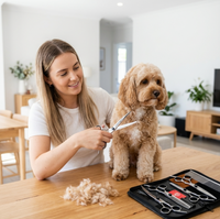 Pawfey Dog Grooming Scissors Set