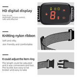 No-Shock Anti-Bark Dog Training Collar – Safe & Humane Behaviour Control